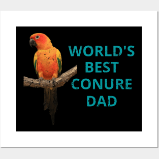 Conure owners and dads Posters and Art